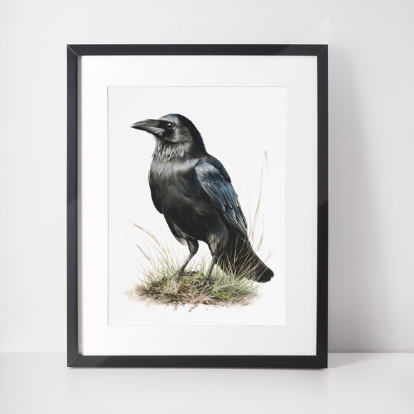 Watercolor Black Crow Wall Art Print Unframed - Black Bird Raven Illustration - Picture 3 of 6